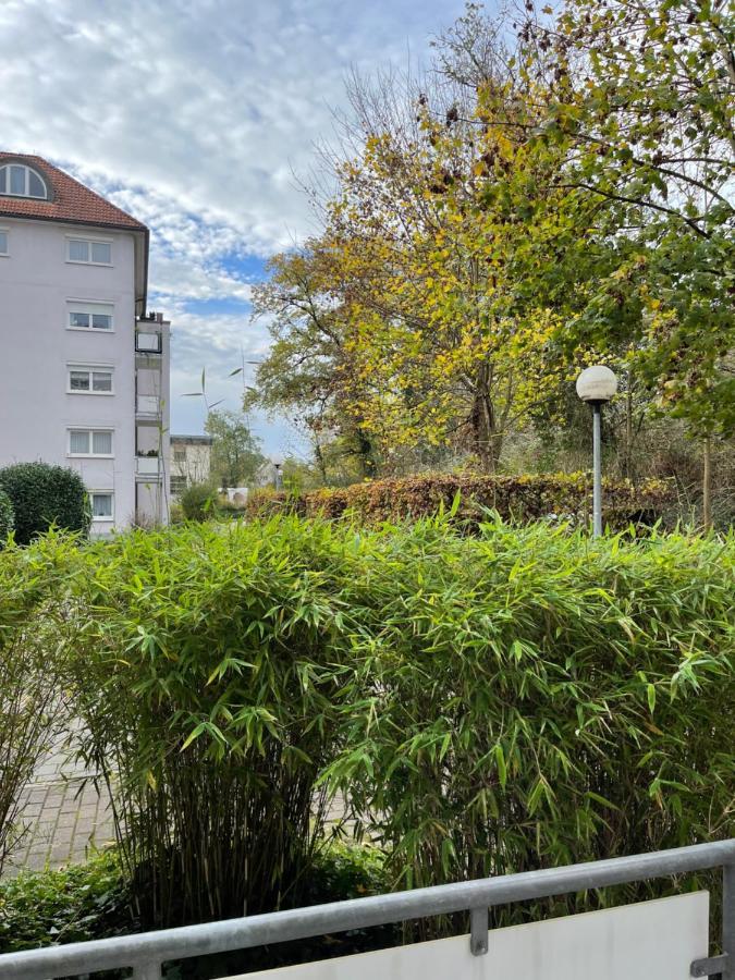 Apartment Rot-Kreuz Bad Säckingen Exterior foto